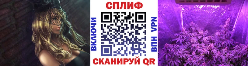 Наркотические вещества Чкаловск Псилоцибиновые грибы  АМФ 