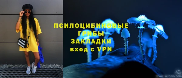 винт Абаза