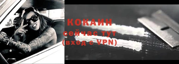 стафф Медногорск