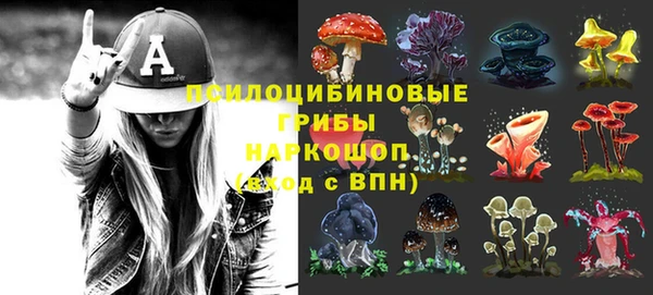 винт Абаза