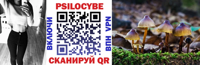 магазин продажи наркотиков  Чкаловск  Галлюциногенные грибы MAGIC MUSHROOMS 