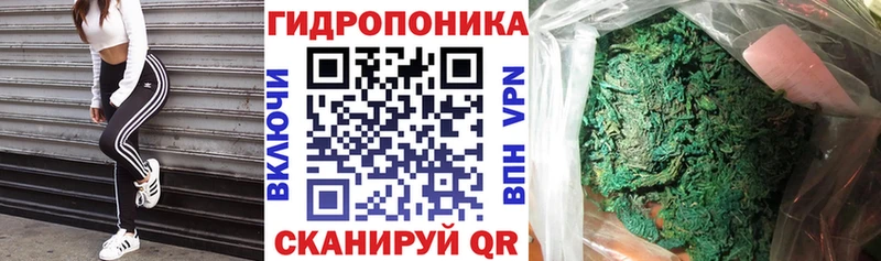 kraken ТОР  Чкаловск  МАРИХУАНА семена 